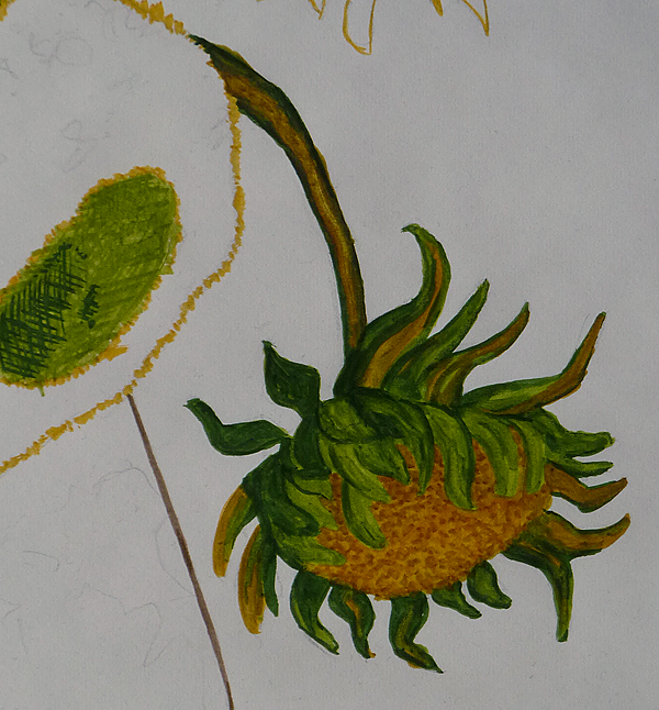 Eine Sonnenblume malen