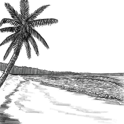 Zeichnung eines Strandes mit Meer und Palme