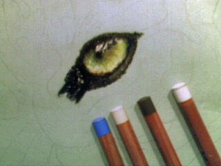 Auge mit Pastellstiften malen
