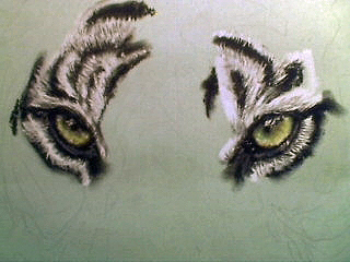 Tiger mit Pastellkreiden malen