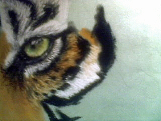 Tiger malen mit Pastell