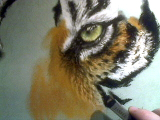 Tiger malen mit Pastell