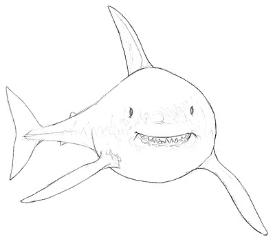 Haifische zeichnen