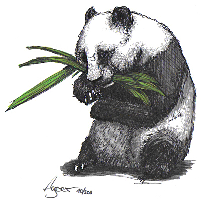 Panda malen